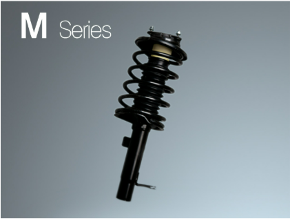 Strut Assembly